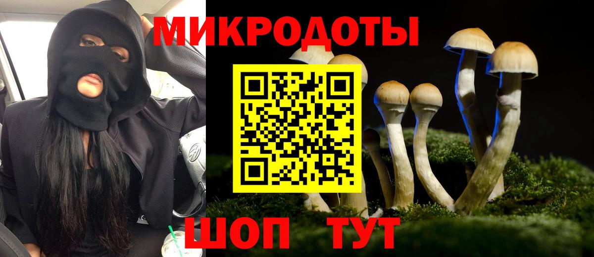 Псилоцибиновые грибы Psilocybine cubensis Белорецк