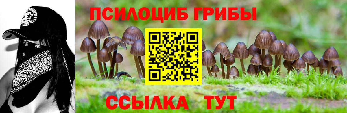 Белорецк  Псилоцибиновые грибы Psilocybe  цены наркотик  Вход с VPN 